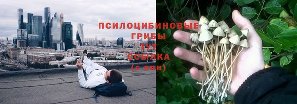 мдпв Зеленодольск