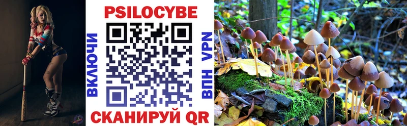 Галлюциногенные грибы GOLDEN TEACHER  Купить закладки  Камбарка 